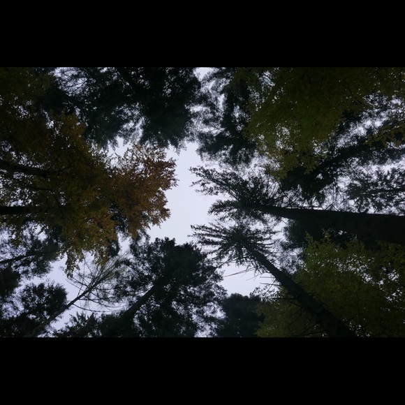 Meet your Posher, Anya - Picture 8 of 13